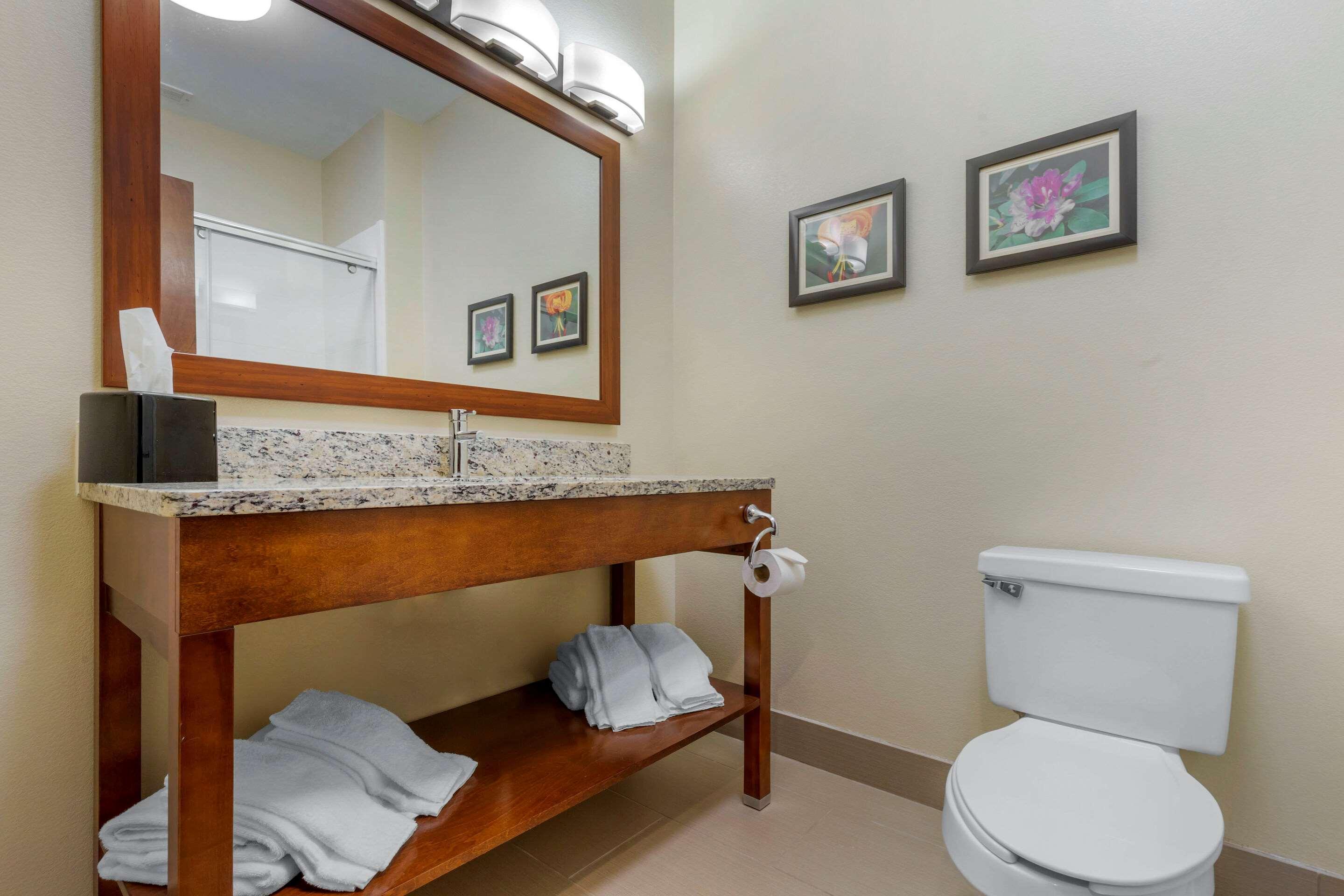 Comfort Inn & Suites Lenoir Hwy 321 Northern Foothills Eksteriør bilde